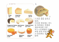 프랑스연구  프랑스의 치즈 역사-9페이지