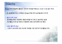 SINGLE PPM 레포트-11페이지