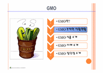 유전자조작 식품및 평가-12페이지