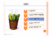 유전자조작 식품및 평가-16페이지
