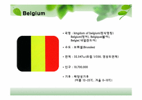 유럽지역론  벨기에 국가 분석-5페이지