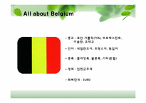 유럽지역론  벨기에 국가 분석-6페이지