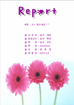베스트 - 분홍 꽃잎(수정)1