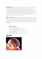 임신 & 태교 레포트-14페이지