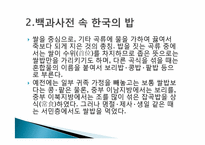 한국민속학의이해  한국인의 밥과 문화-5페이지