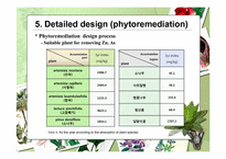 생태공학 Phytoremediation을 이용한 제2연화광산 주변 오염지역 토양의 생물학적 복원 설계(영문)-20페이지