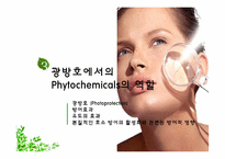 자외선으로부터의 보호제 역할로서의 식물내재 화합물(Phytochemicals) - 다양한 영향과 메커니즘-10페이지