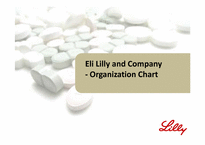 제약산업  ELI LILLY의 사례연구(영문)-15페이지