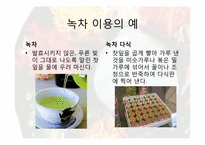 식품학 한국의 전통색을 내는 천연 색소 물질-10페이지