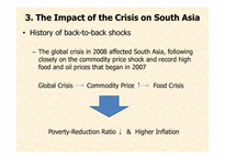 재무관리  The Impact of the Global Crisis on South Asia(영문)-11페이지