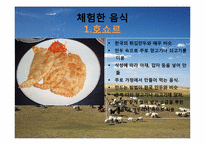 몽골의 식생활 레포트-13페이지