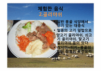 몽골의 식생활 레포트-15페이지