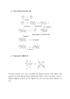 고분자 나노 입자 합성-6페이지