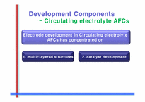 에너지공학  Alkaline Fuel Cell(AFC)-14페이지