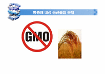 환경과 농업  GMO 한국에서 재배-14페이지