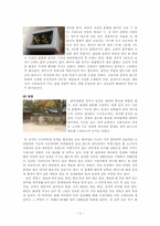한국의 전통 정원에 관한 고찰-5페이지