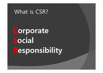 경영학  유한킴벌리의 녹색경영-기업의 사회적 책임(CSR)을 중심으로(영문)-17페이지