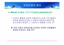 환경과인간  폐기물과 토양오염-11페이지