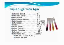 임상화학  Triple sugar iron(TSI)와 Kligler iron agar(KIA)-4페이지