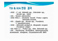 임상화학  Triple sugar iron(TSI)와 Kligler iron agar(KIA)-11페이지