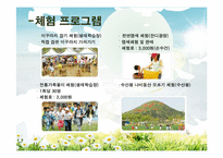 농업농촌사회학  함평 나비 대축제-7페이지