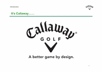 국제경영  Callaway Golf Company 켈러웨이 골프 마케팅 전략(영문)-6페이지