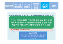 정치커뮤니케이션  UCC와 선거-17페이지