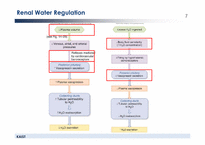 기능생리학  The Kidneys and Regulation of Water and Inorganic Ions-8페이지