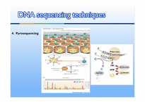 생태학실험  DNA 염가서열결정(DNA Sequencing)-7페이지