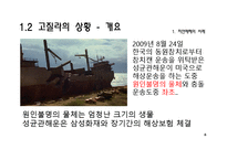 국제물류  해상운송의 사례 연구 -사고의 위험-6페이지