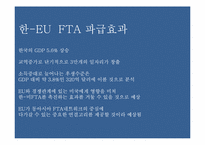 한- EU FTA 추진배경  파급효과  문제점-12페이지