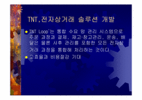 국제물류  TNT 향후발전전략-13페이지