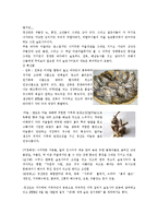 한국의 슬로우시티-11페이지