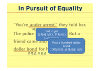 교육학  고등학교 2학년 영어 수업지도안-Lesson7  In Pursuit of Equality-13페이지