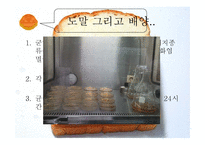 미생물학  식품 미생물학 실험-유산균 첨가된 빵의 제조-16페이지