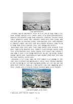 산업심리  한국 아파트에 얽힌 광고속의 시뮬라시옹과 한국사회의 계급적 속성-7페이지