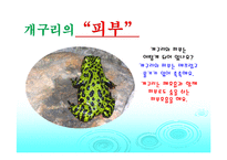 개굴개굴 개구리(음성녹음) 이야기나누기  개구리프로젝트  상호작용  동물  봄  양서류  개구리의 성장과정  올챙이-11페이지