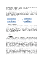 문화연구  대중문화 변혁의 기초와 비전-13페이지
