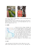 관광학원론  대구 경북지역의 관광활성화 방안-8페이지
