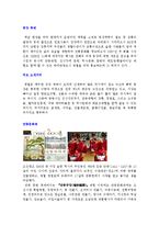 관광학원론  대구 경북지역의 관광활성화 방안-11페이지