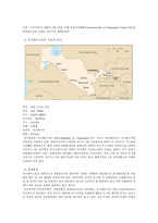 해외직접투자  대우자동차 우즈베키스탄 진출사례-5페이지