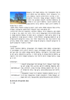 한국민속과 우리문학-전통 놀이의 현대적 재해석-7페이지