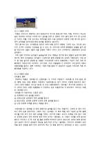 한국민속과 우리문학-전통 놀이의 현대적 재해석-8페이지