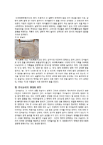 한국민속과 우리문학-전통 놀이의 현대적 재해석-14페이지