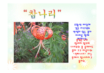 여름 풀꽃의 이야기(음성녹음) 이야기나누기  상호작용  여름꽃프로젝트  여름프로젝트  식물  꽃프로젝트  PPT  여름꽃의 종류  여름꽃이야기-7페이지