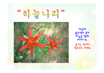 여름 풀꽃의 이야기(음성녹음) 이야기나누기  상호작용  여름꽃프로젝트  여름프로젝트  식물  꽃프로젝트  PPT  여름꽃의 종류  여름꽃이야기-14페이지