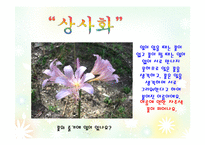 여름 풀꽃의 이야기(음성녹음) 이야기나누기  상호작용  여름꽃프로젝트  여름프로젝트  식물  꽃프로젝트  PPT  여름꽃의 종류  여름꽃이야기-19페이지