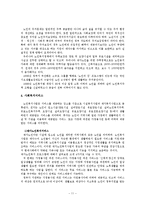 한국의노인복지정책에 대하여-11페이지