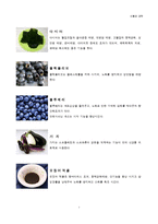 식품과 과학  컬러푸드 Color Food(그린푸드  블랙푸드)-8페이지