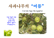 사과가 주렁주렁(음성녹음) 이야기나누기  상호작용  사과프로젝트  가을과일  사과의생김새  사과나무열매  사과씨  사과꽃  사과의좋은점-5페이지